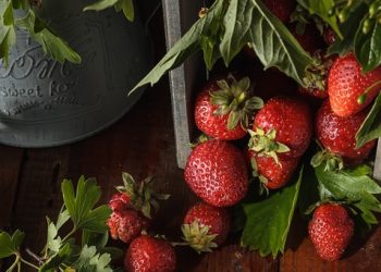 Top 10 Nutritious Snacks for Fitness Fanatics: Fuel Your Workouts with These Healthy Options