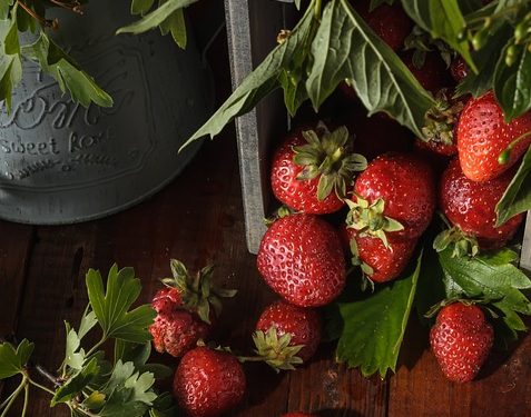 Top 10 Nutritious Snacks for Fitness Fanatics: Fuel Your Workouts with These Healthy Options