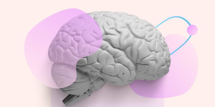 Nootropics for Brain Health