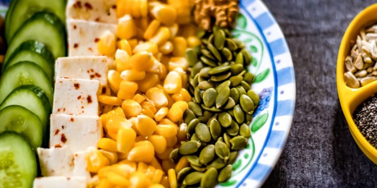 Photo Protein synthesis