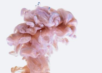 Photo Brain supplements