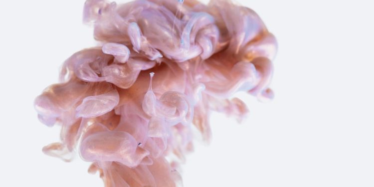 Photo Brain supplements