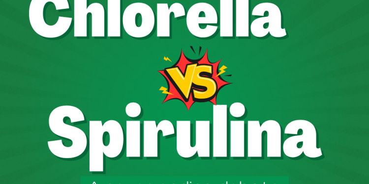 Chlorella vs Spirulina