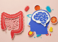Gut Brain Connection