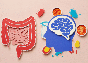 Gut Brain Connection