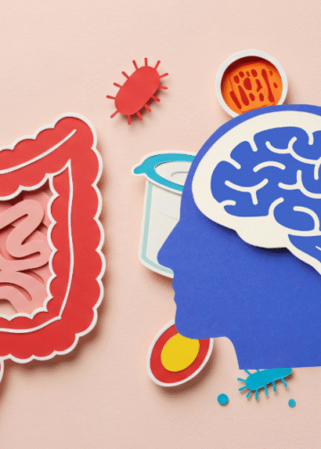 Gut Brain Connection