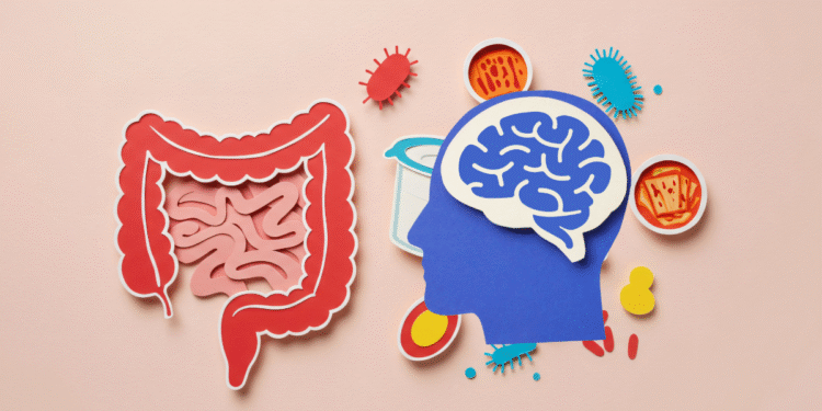 Gut Brain Connection
